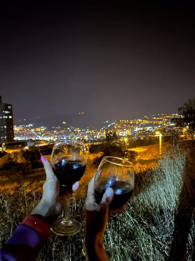 Tokat.GlampingDome — Tokat — küçük resim 2