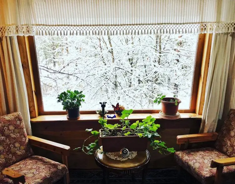 Ardıçlı Dağ Evi — Tokat — küçük resim 3