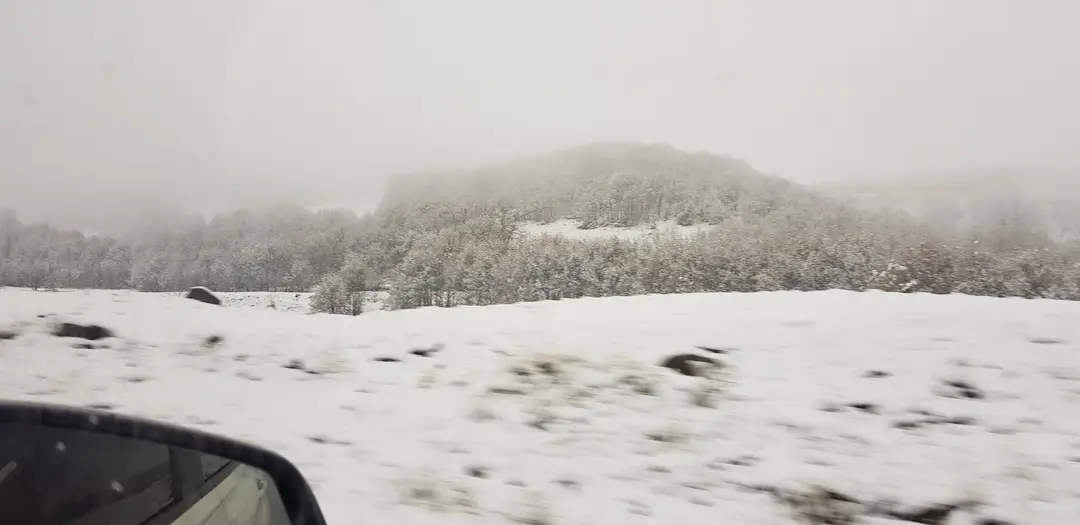 Ardıçlı Dağ Evi — Tokat — küçük resim 5