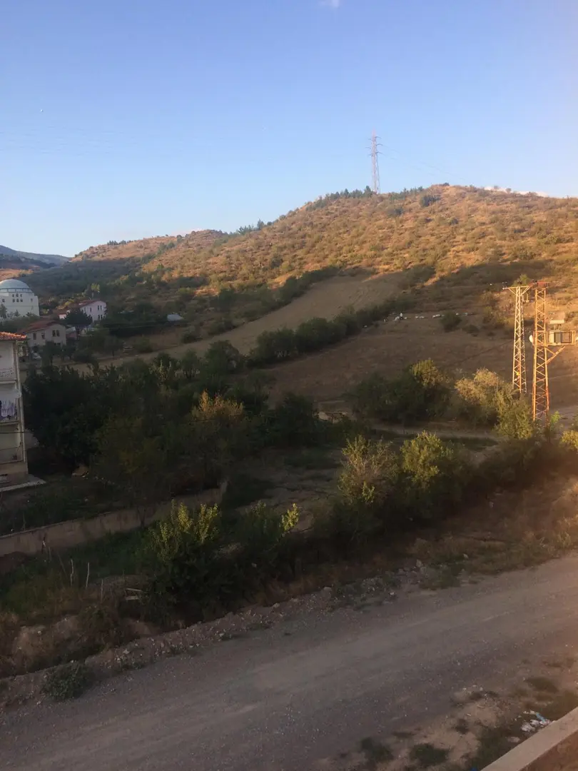 City Forest — Tokat — küçük resim 8