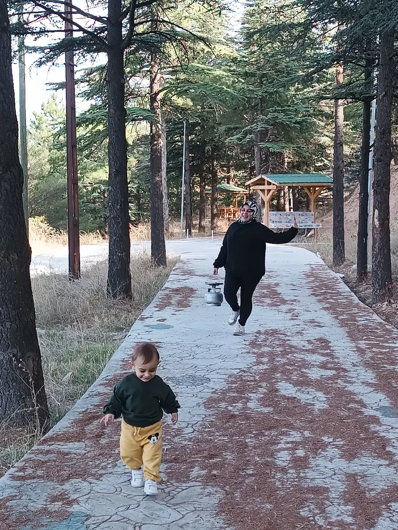 City Forest — Tokat — küçük resim 7
