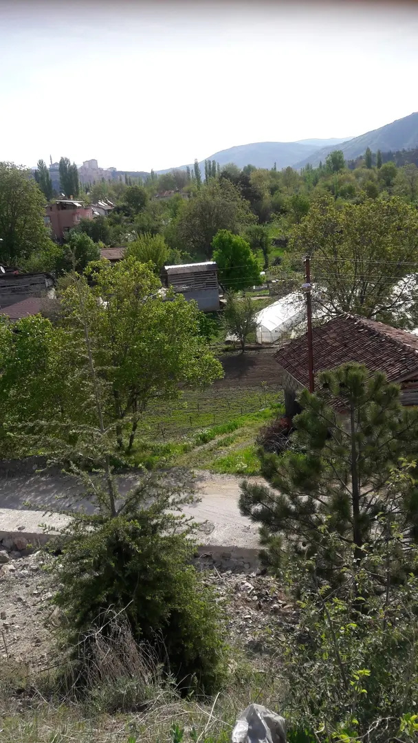 Şehir Ormanı
