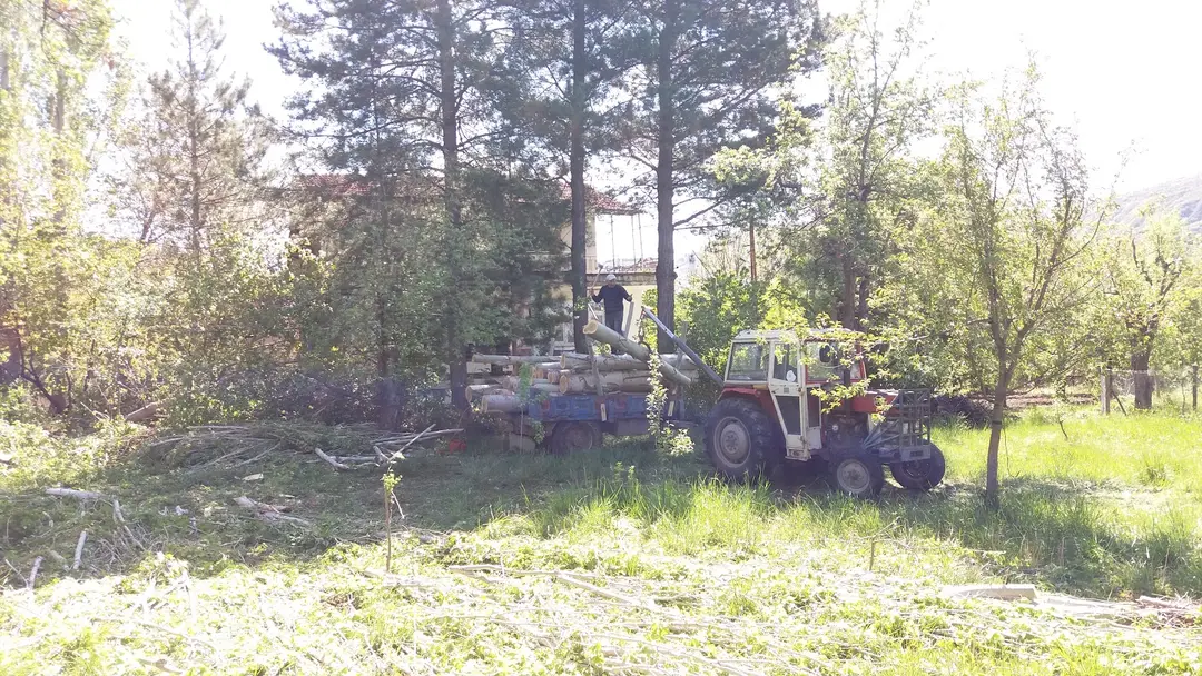City Forest — Tokat — küçük resim 10
