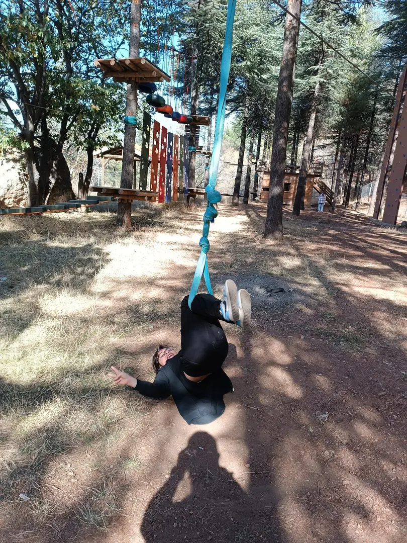 City Forest — Tokat — küçük resim 5