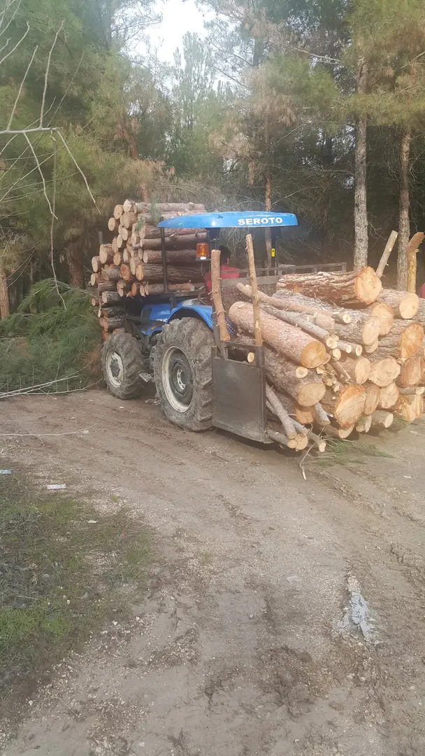 Amasya City Forest — Amasya — küçük resim 3
