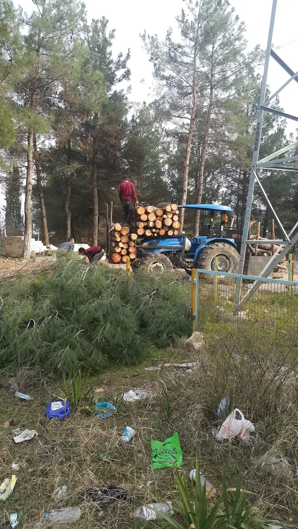 Amasya City Forest — Amasya — küçük resim 4