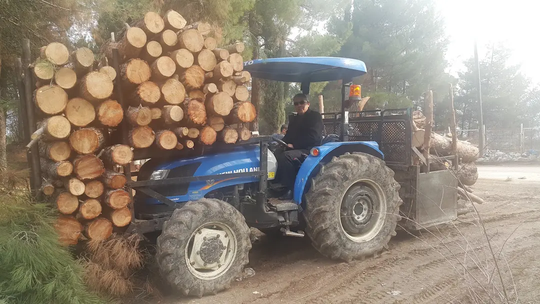 Amasya City Forest — Amasya — küçük resim 9
