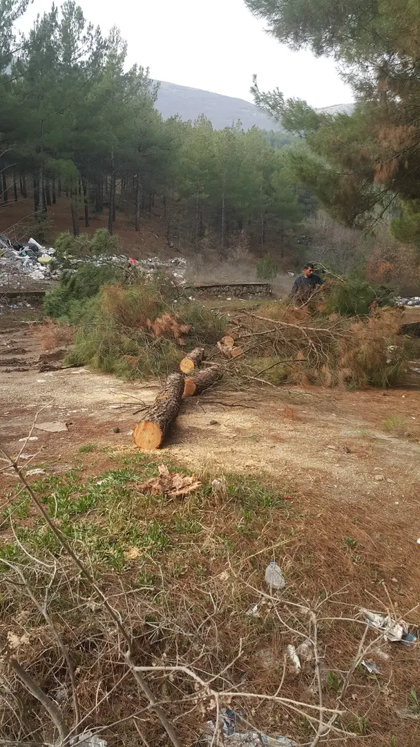 Amasya City Forest — Amasya — küçük resim 5