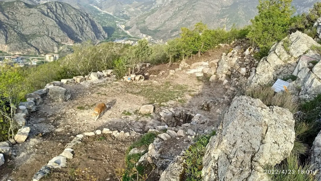 Atatürk Memorial Forest — Amasya — küçük resim 7