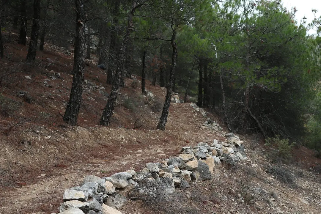 Atatürk Memorial Forest — Amasya — küçük resim 9