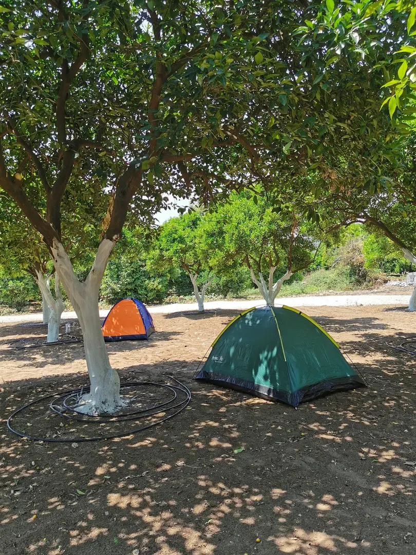 Minta Caravan & Camping Area-Kemer — Antalya — küçük resim 8
