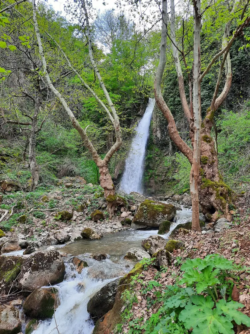 Güney Tamara Tepesi Bungalov evi — Amasya — küçük resim 3