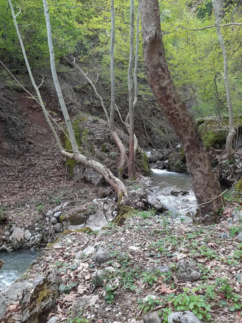 Güney Tamara Tepesi Bungalov evi — Amasya — küçük resim 5