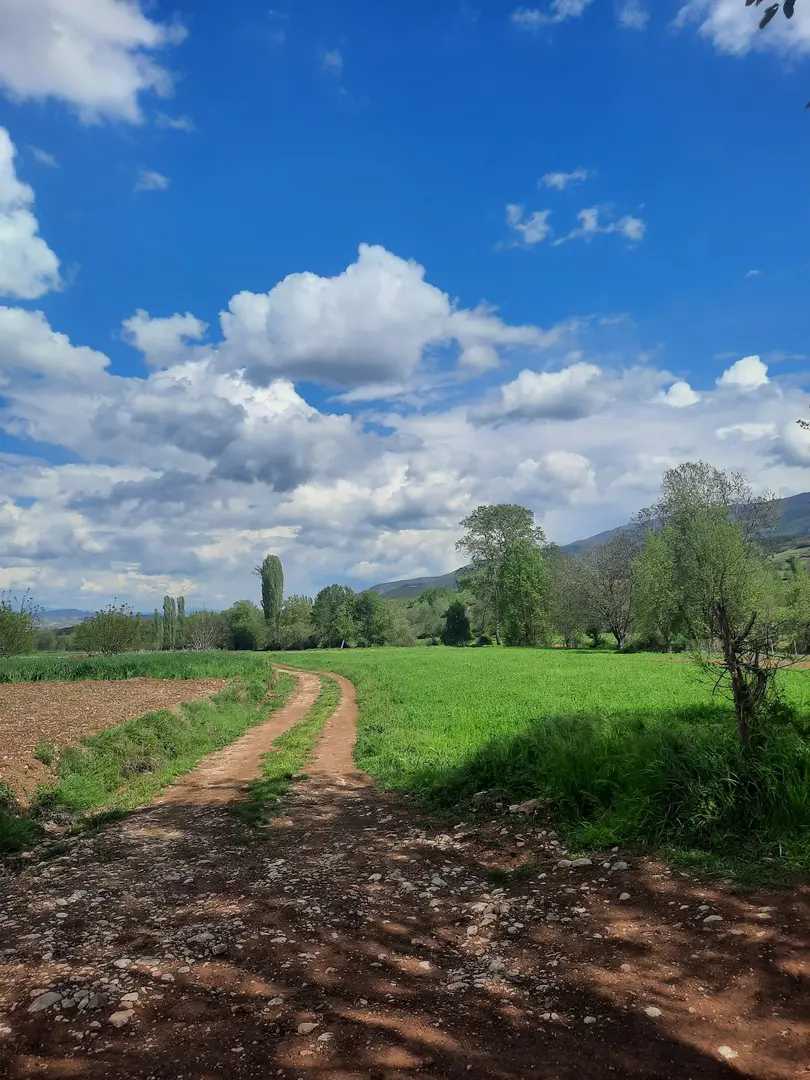 Güney Tamara Tepesi Bungalov evi — Amasya — küçük resim 6