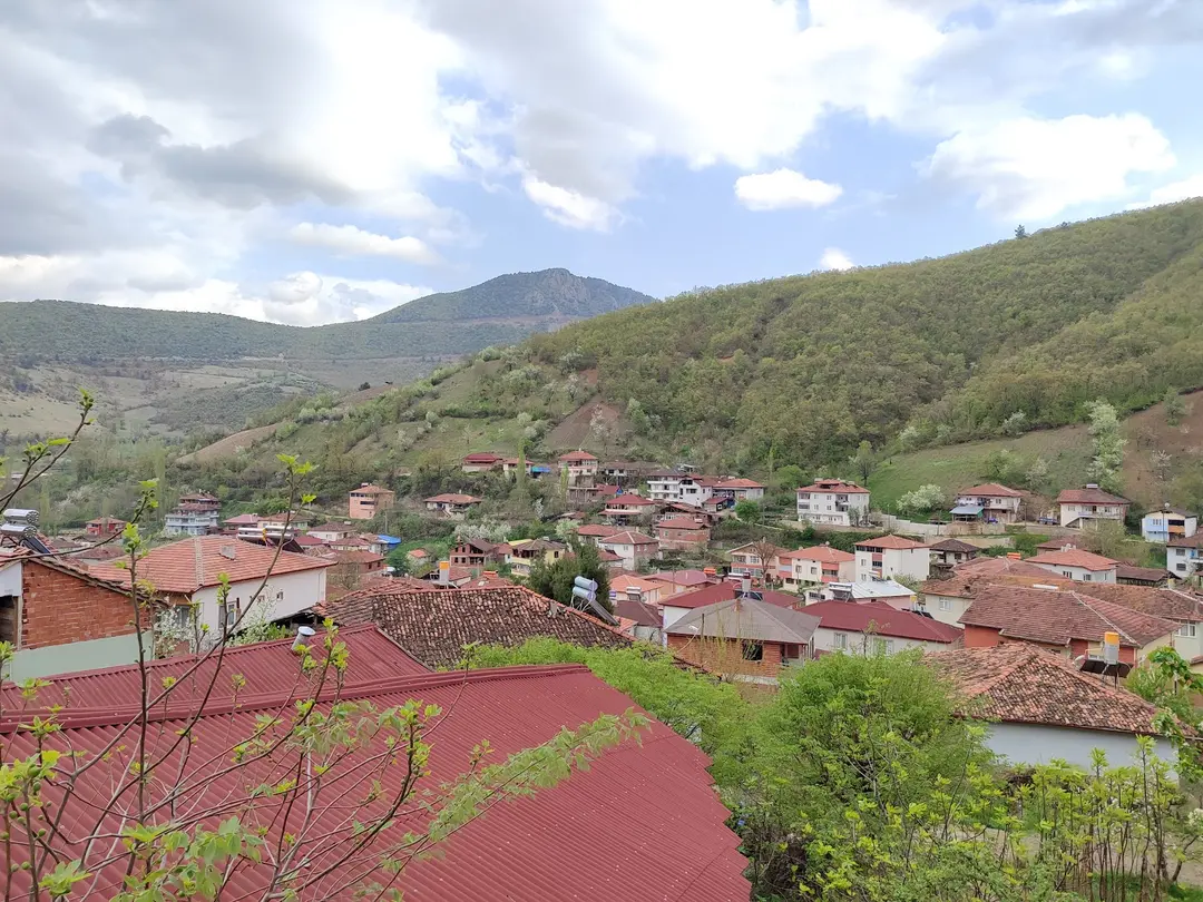 Güney Tamara Tepesi Bungalov evi