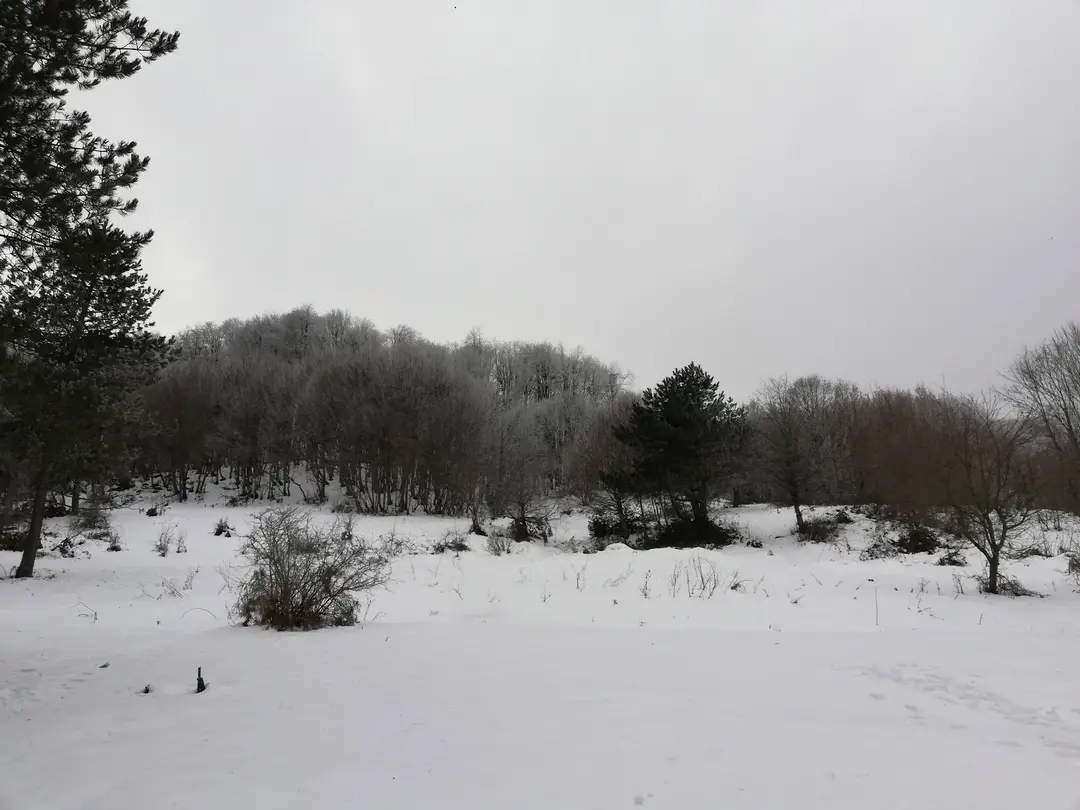 Ondokuz Mayıs Camping Area — Samsun — küçük resim 3