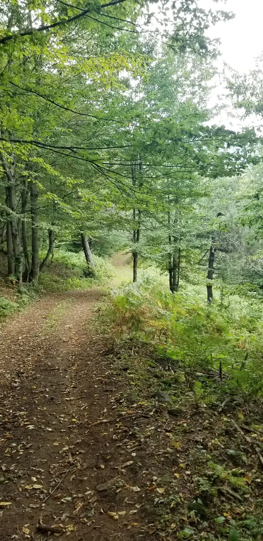 Ondokuz Mayıs Camping Area — Samsun — küçük resim 5