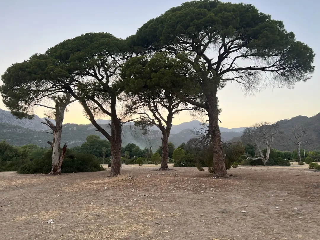 Cirali Camping — Antalya — küçük resim 4