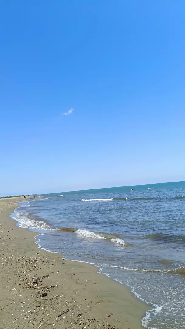 Çadır Kent Camping — Samsun — küçük resim 8