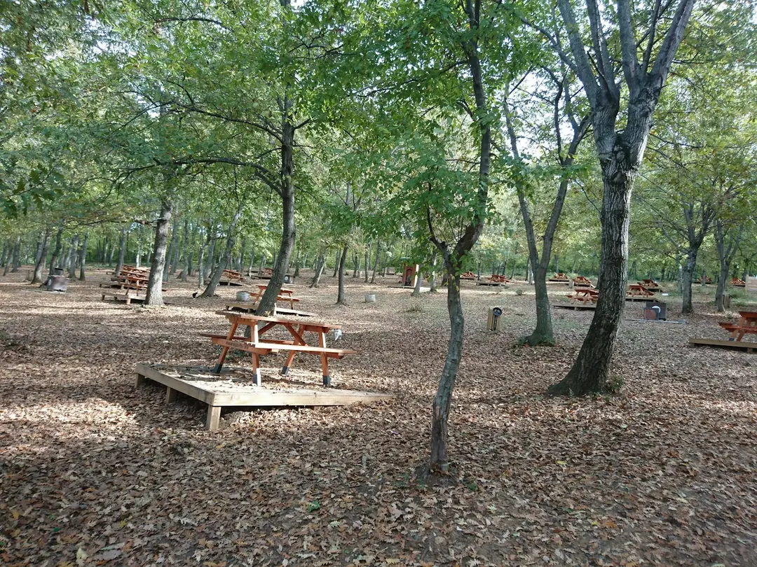 Kent Ormanı Piknik Alanı