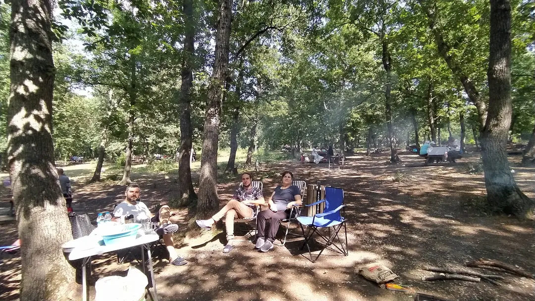 City Forest Picnic Area — Samsun — küçük resim 5