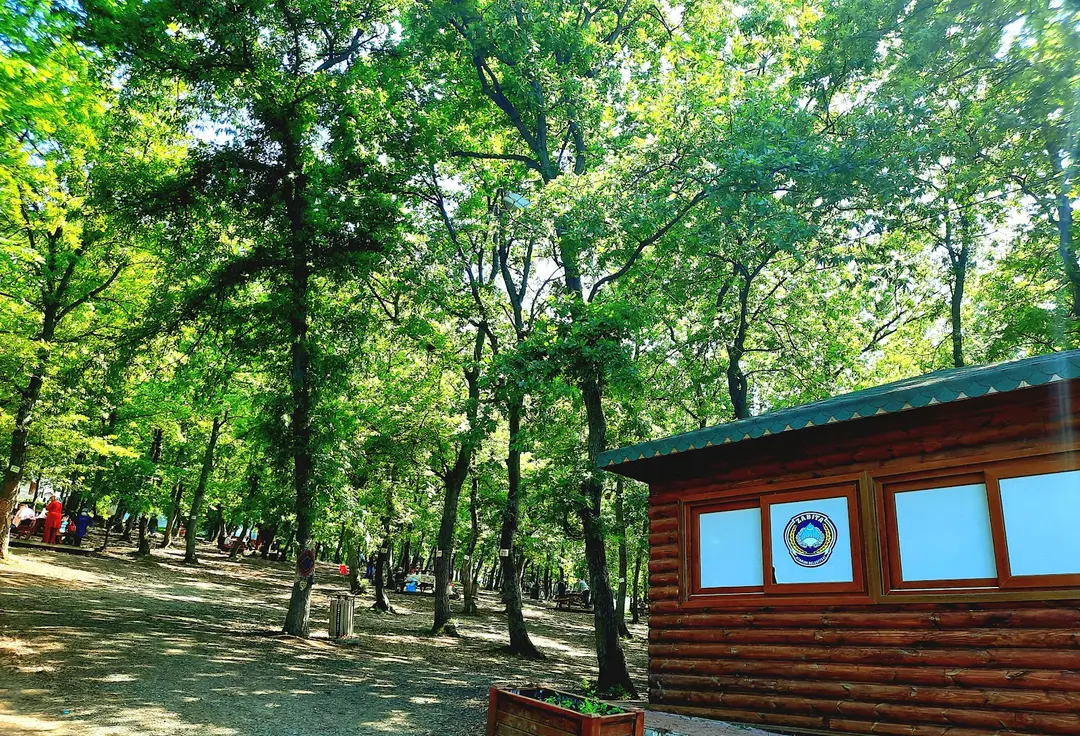 City Forest Picnic Area — Samsun — küçük resim 2
