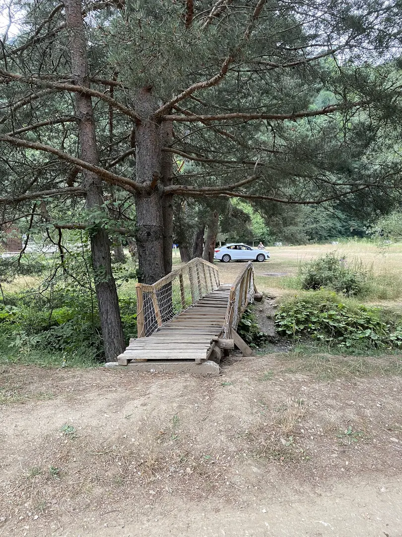 Kunduz Kamp Alani — Samsun — küçük resim 4