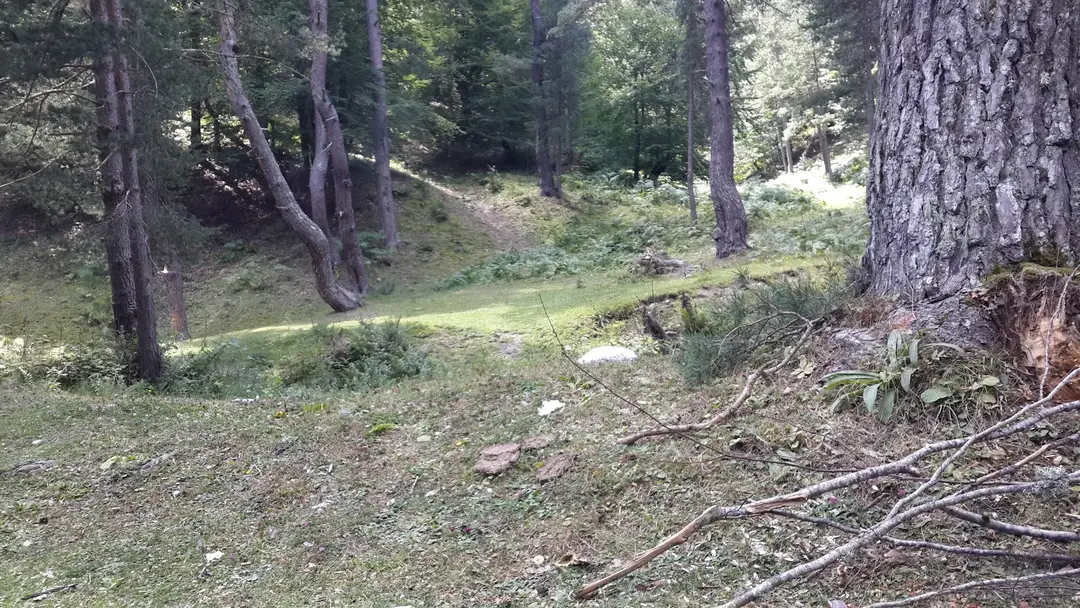 Kunduz Kamp Alani — Samsun — küçük resim 7