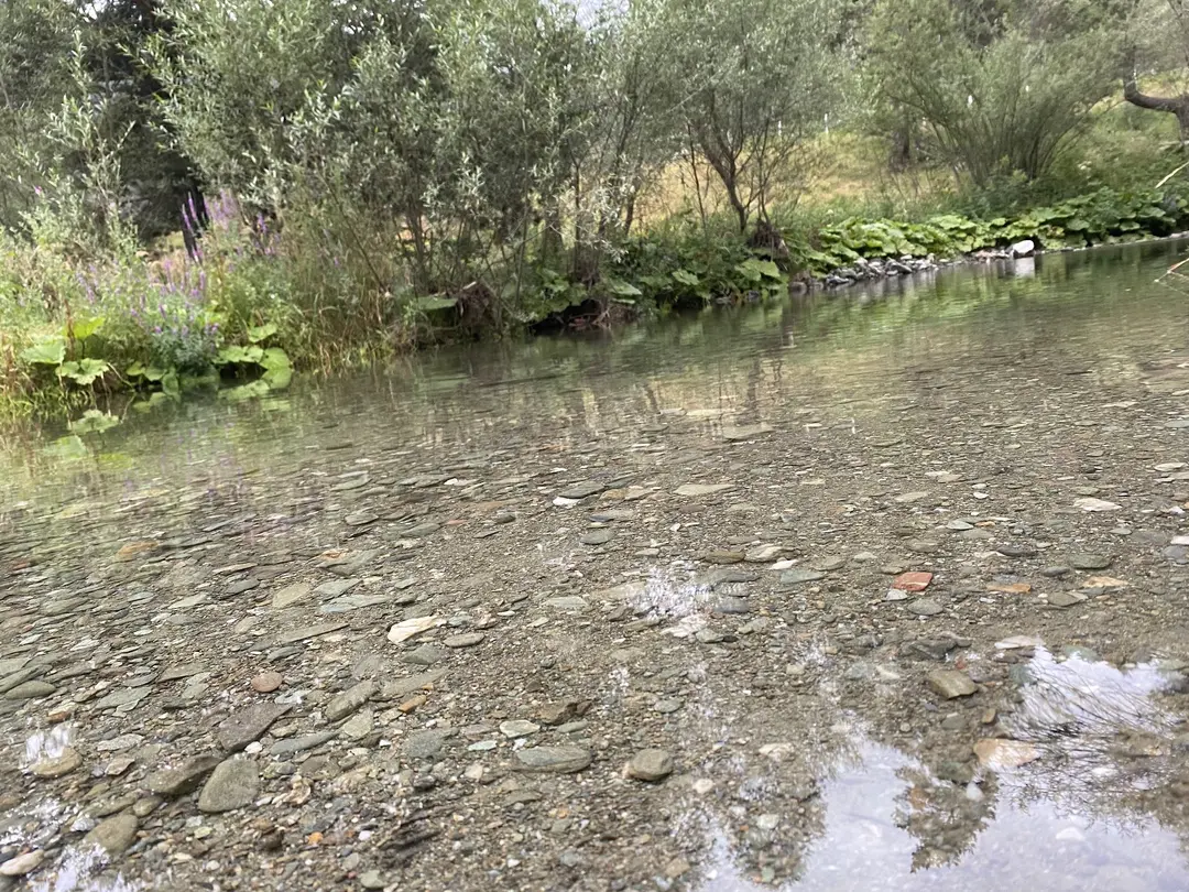 Kunduz Kamp Alani — Samsun — küçük resim 9