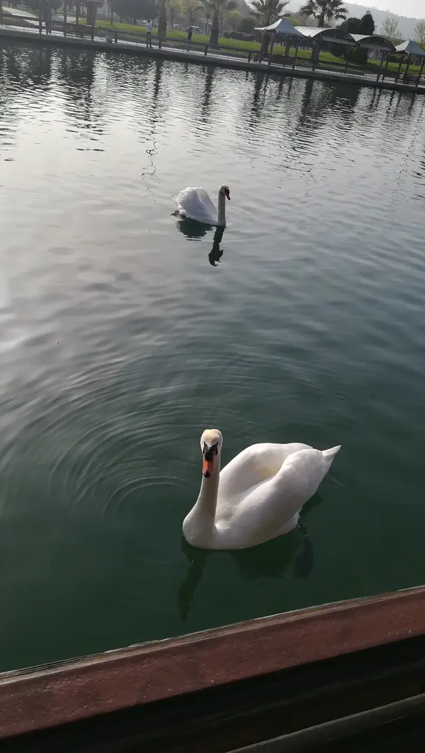 Sahil Park — Samsun — küçük resim 5