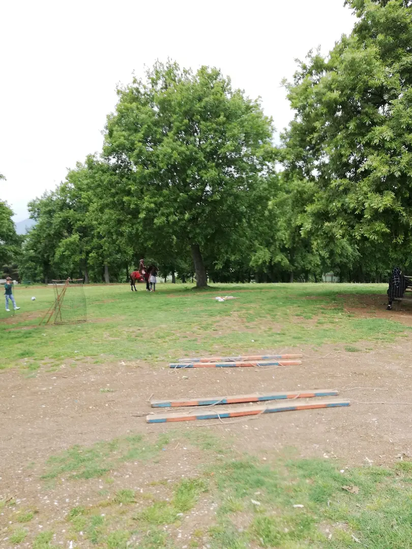 Samsun Adventure Park — Samsun — küçük resim 7
