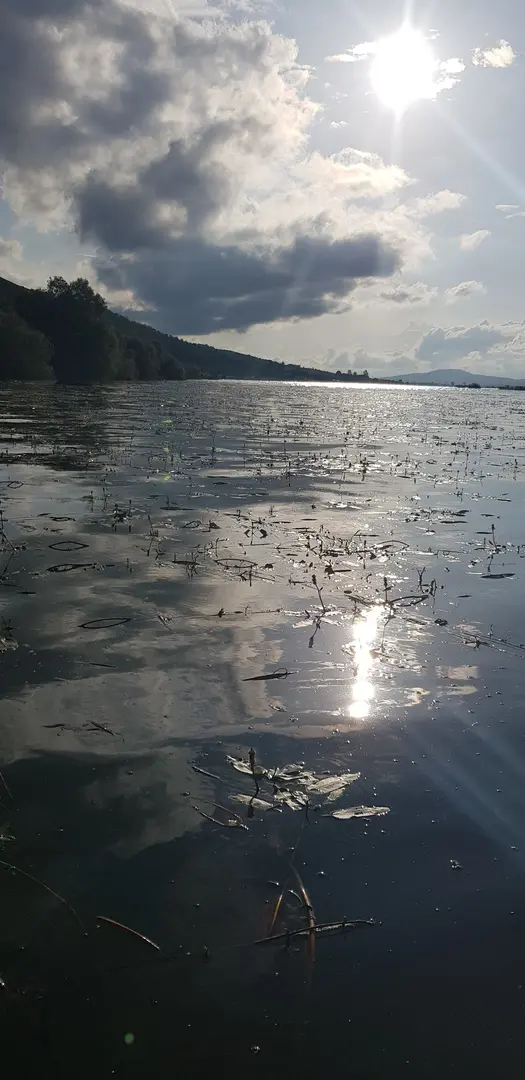 Área Húmeda de Importancia Nacional del Lago Ladik — Samsun — küçük resim 6