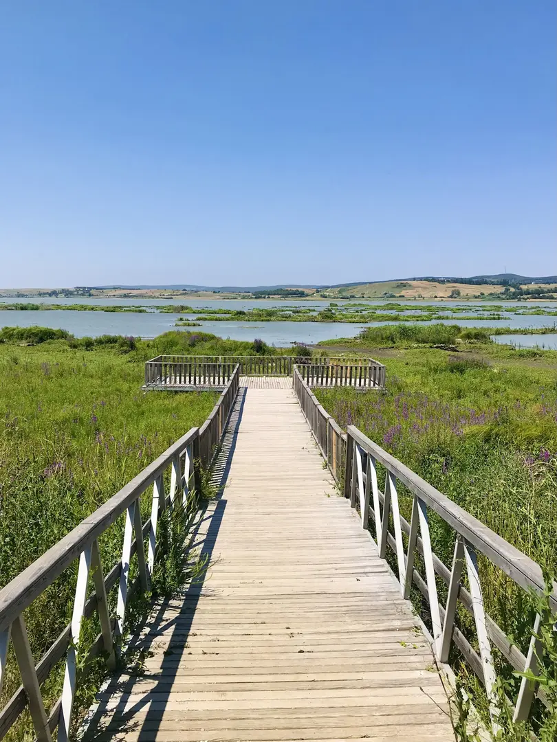 Área Húmeda de Importancia Nacional del Lago Ladik — Samsun — küçük resim 4