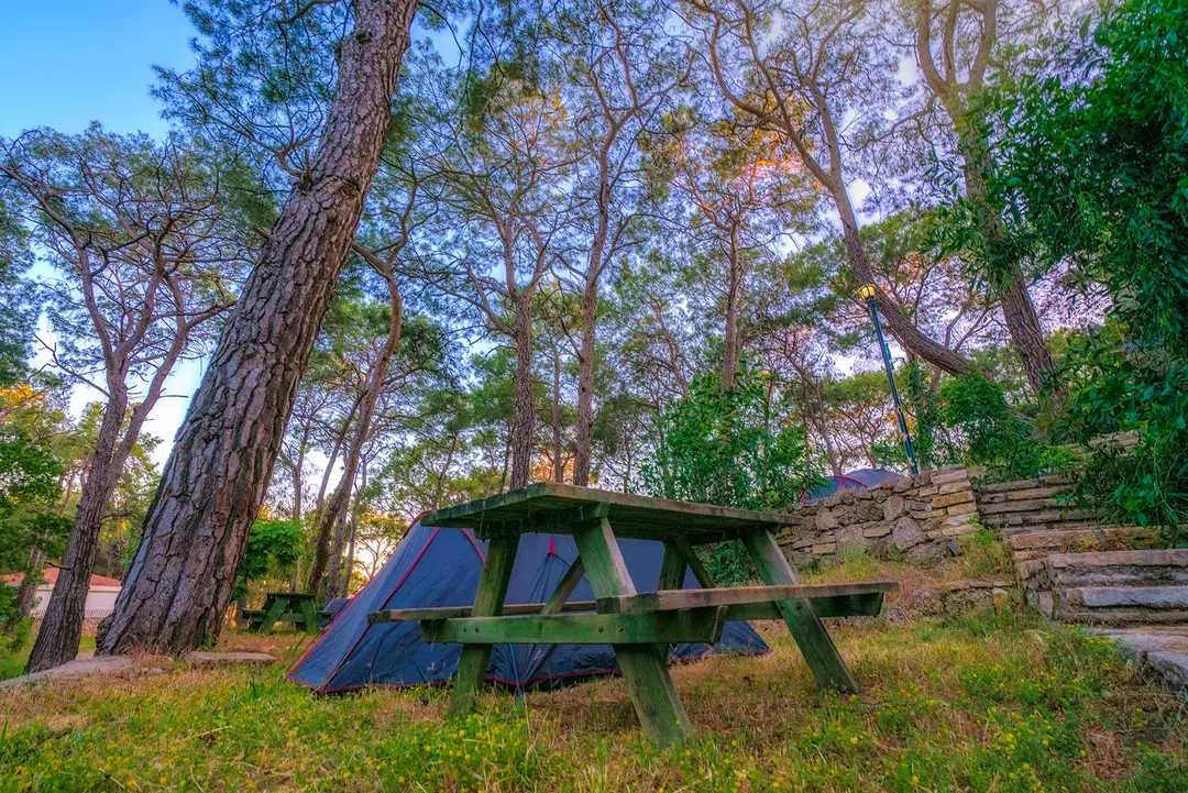 İncekum Orman Kampı — Antalya — küçük resim 8