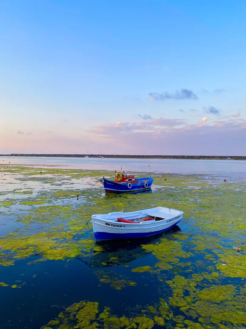 Kurupelit Sahil — Samsun — küçük resim 8