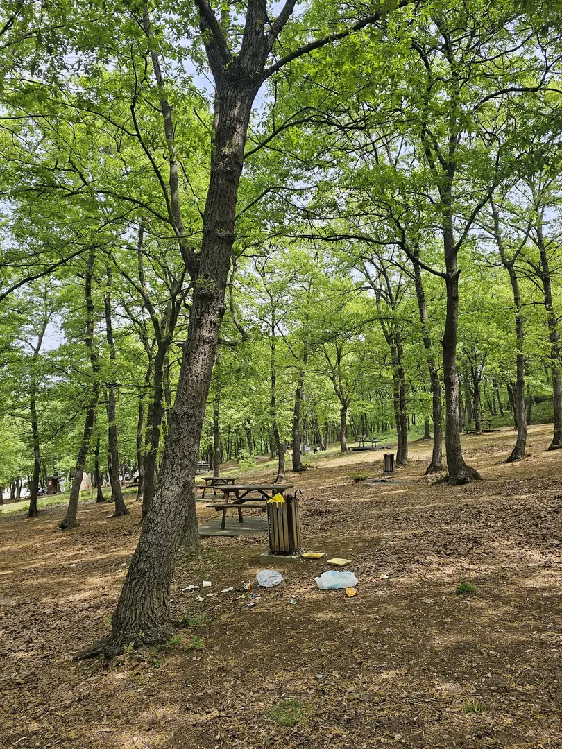City Forest Picnic Area — Samsun — küçük resim 3