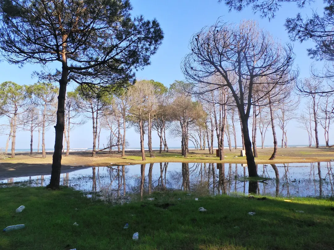 Amazon Tabiat Park — Samsun — küçük resim 2