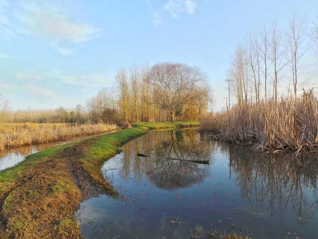 Amazon Tabiat Park — Samsun — küçük resim 3