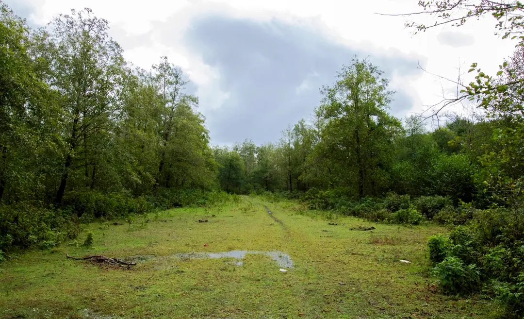 Amazon Tabiat Park — Samsun — küçük resim 4