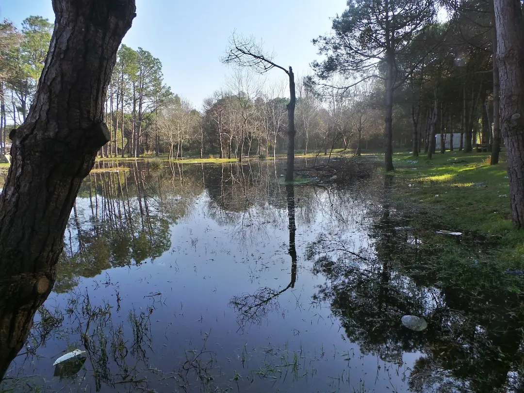 Amazon Tabiat Park — Samsun — küçük resim 7