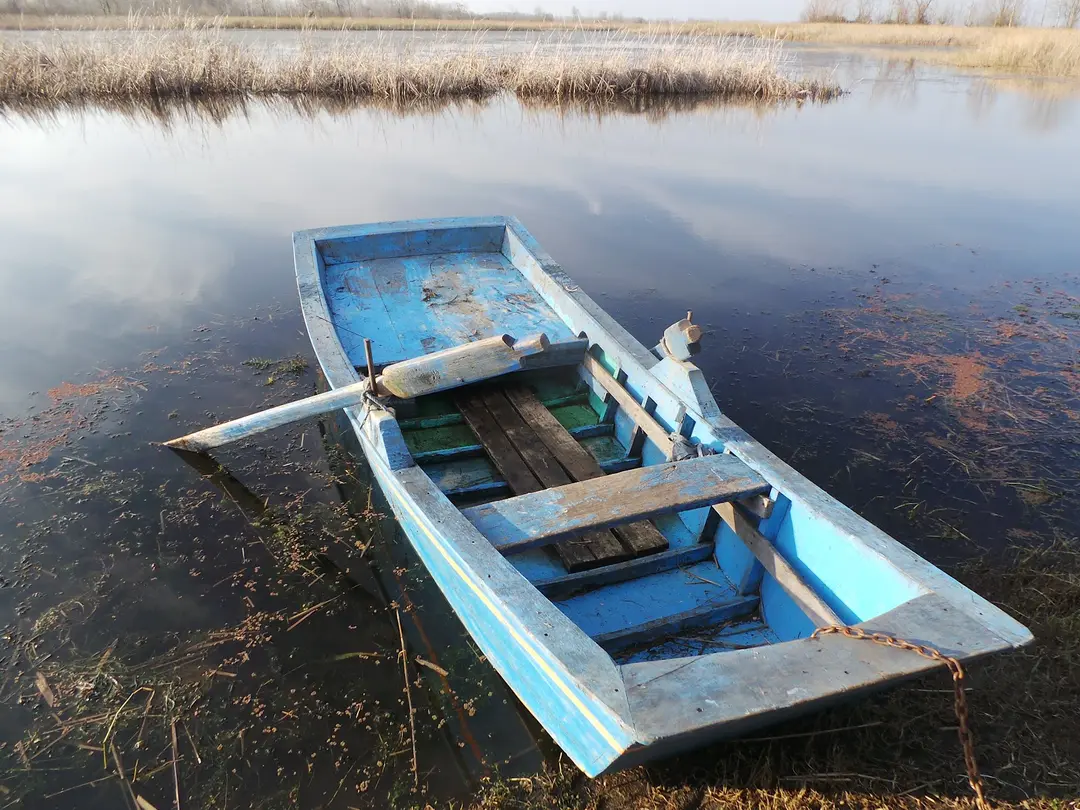 Amazon Tabiat Park — Samsun — küçük resim 10
