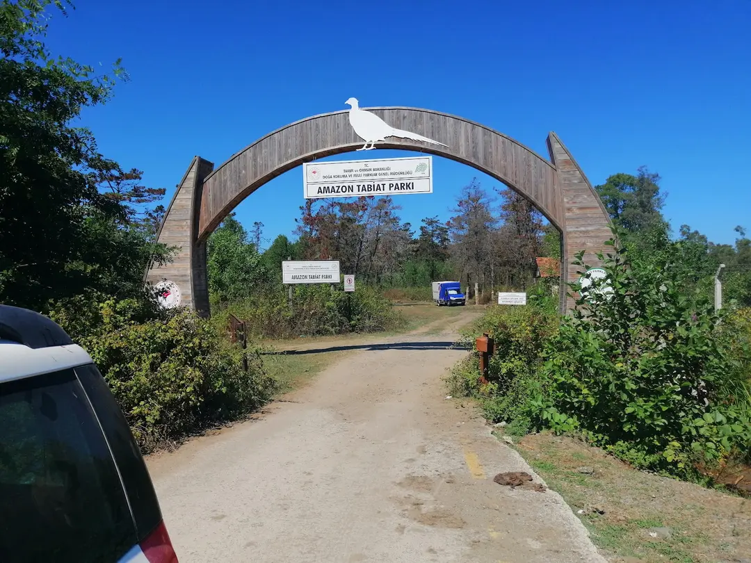 Amazon Tabiat Park — Samsun — küçük resim 9