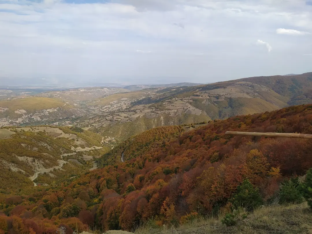 Vezirköprü