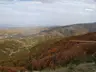 AcıklıYazı