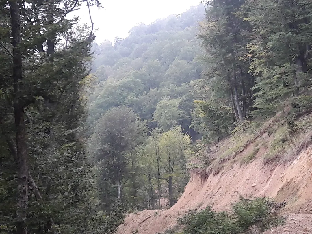 AcıklıYazı — Samsun — küçük resim 3