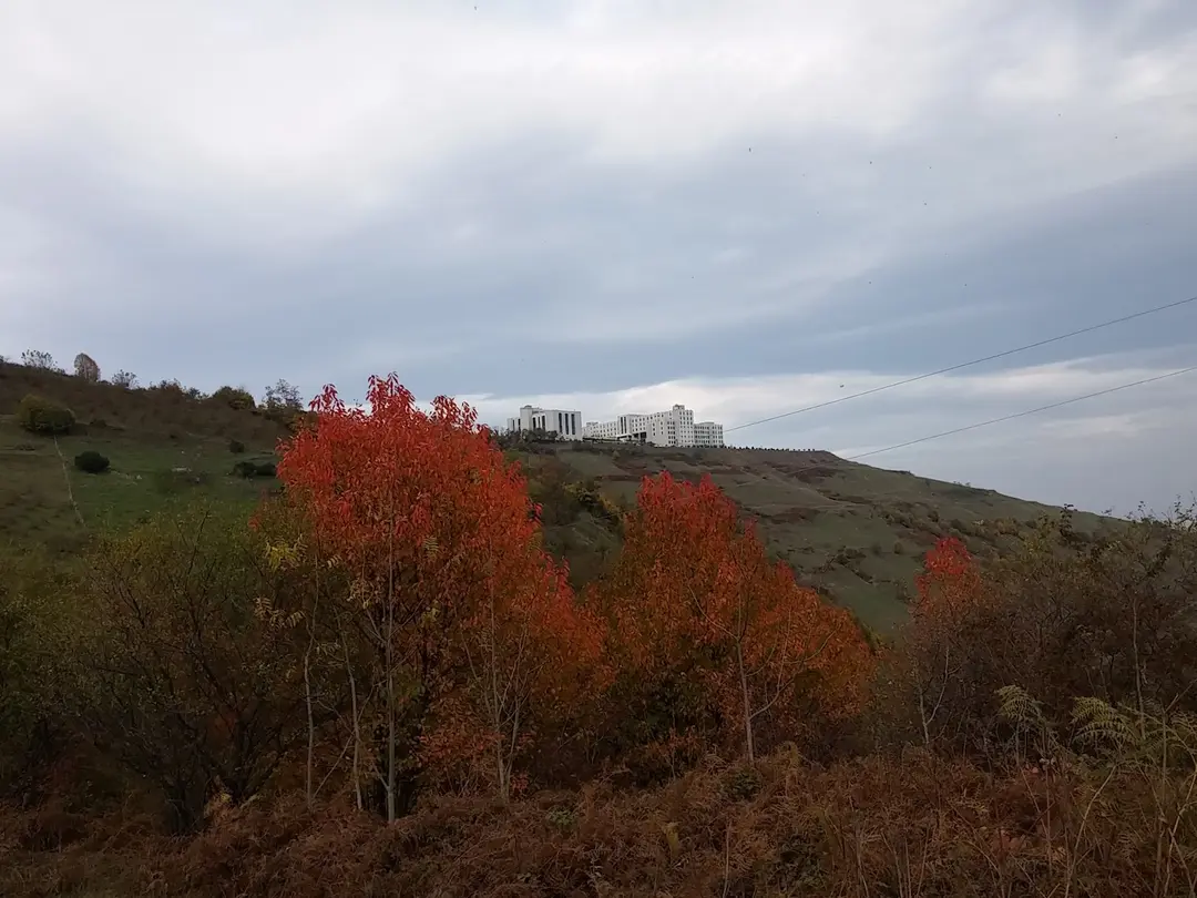 Bayrak Tepe Tabiat Parkı — Samsun — küçük resim 3