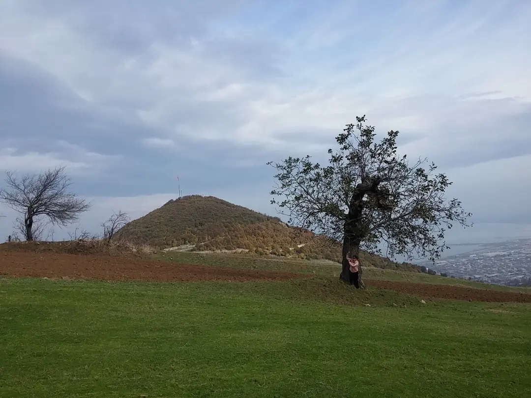 Bayrak Tepe Tabiat Parkı — Samsun — küçük resim 8