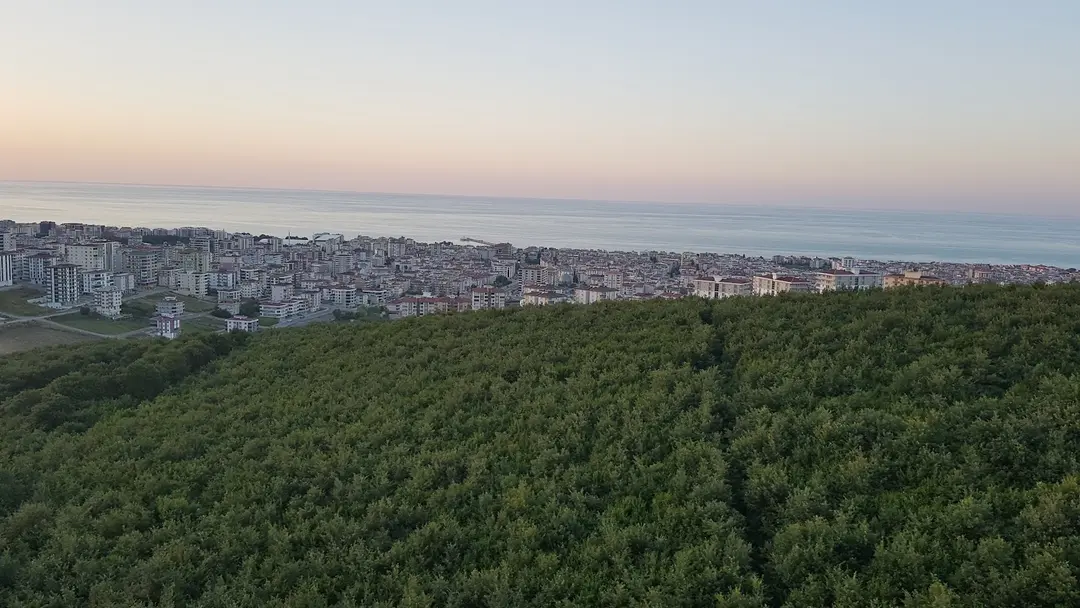 City Forest Picnic Area — Samsun — küçük resim 7