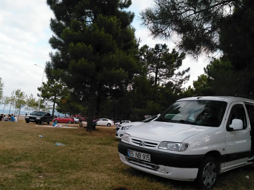 75. Yıl Orman Parkı — Samsun — küçük resim 7