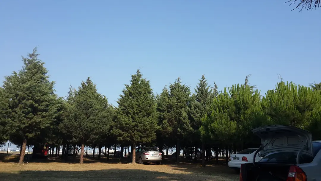 75. Yıl Orman Parkı
